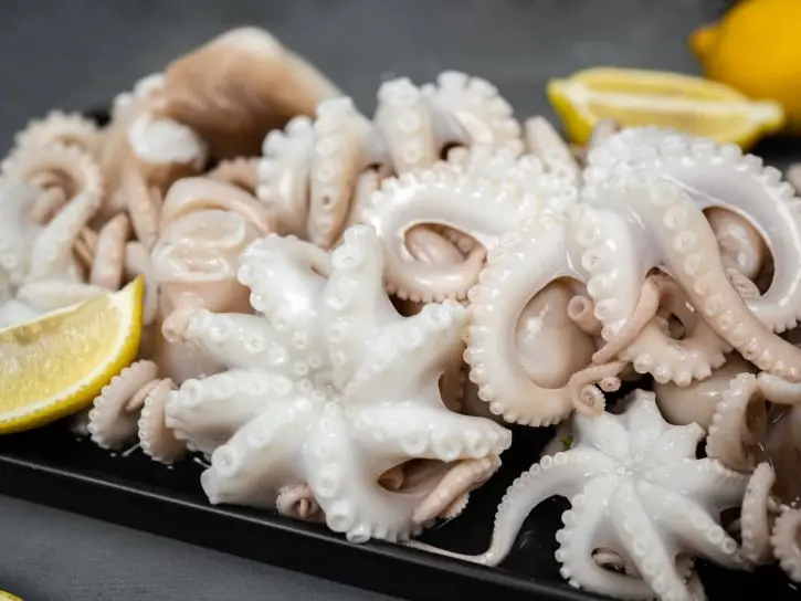 Frozen octopus - Octopus vulgaris