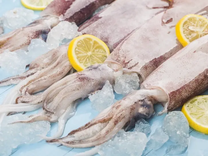 Frozen squid - Loligo vulgaris